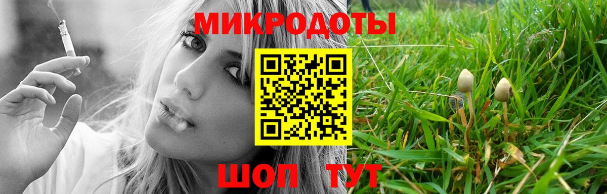 Псилоцибиновые грибы GOLDEN TEACHER Мурино