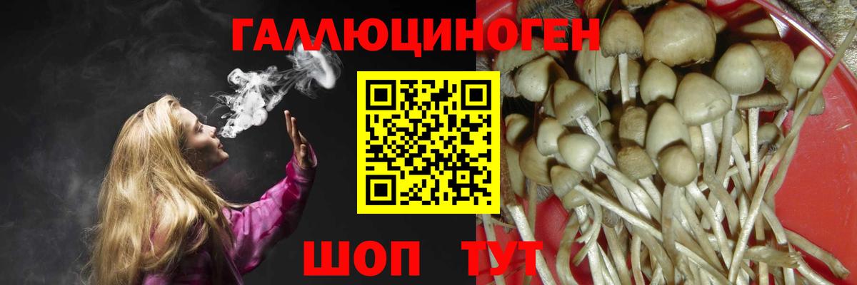 Мурино  Галлюциногенные грибы ЛСД  Вход с VPN 